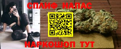 гидра Заволжье