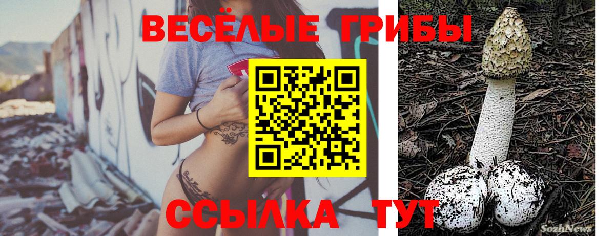даркнет сайт  Псилоцибиновые грибы Psilocybe  Ленинск-Кузнецкий  Вход с VPN  Псилоцибиновые грибы GOLDEN TEACHER 
